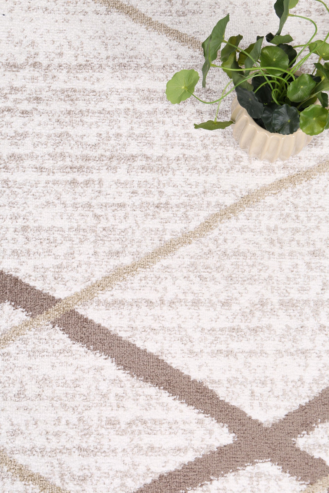 Kimberley Lattice Latte Contemporary Rug