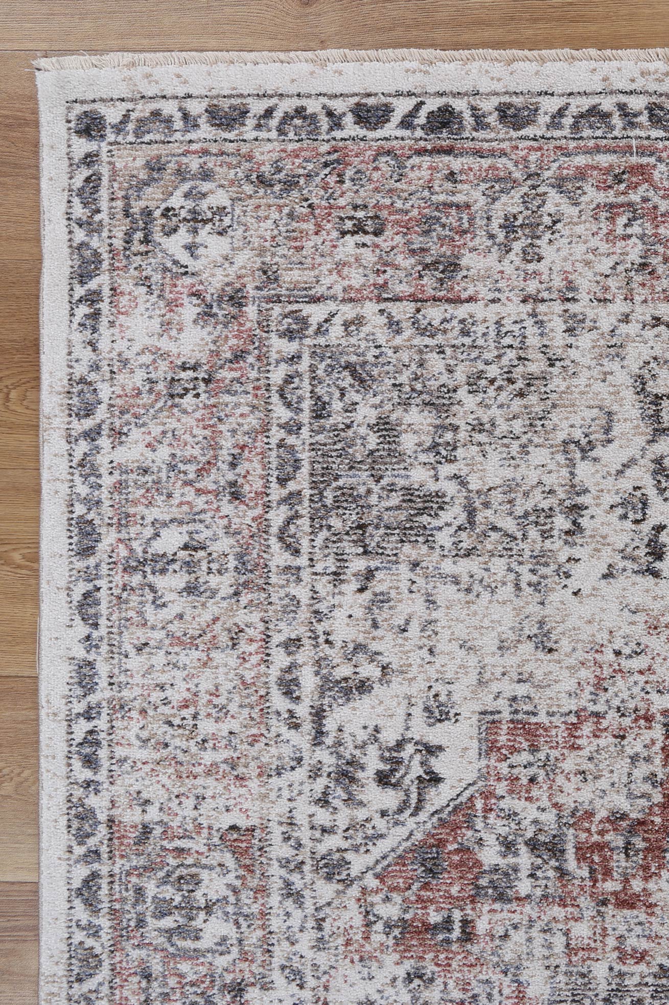 Maryland Chintz Multi Traditional Soft Rug