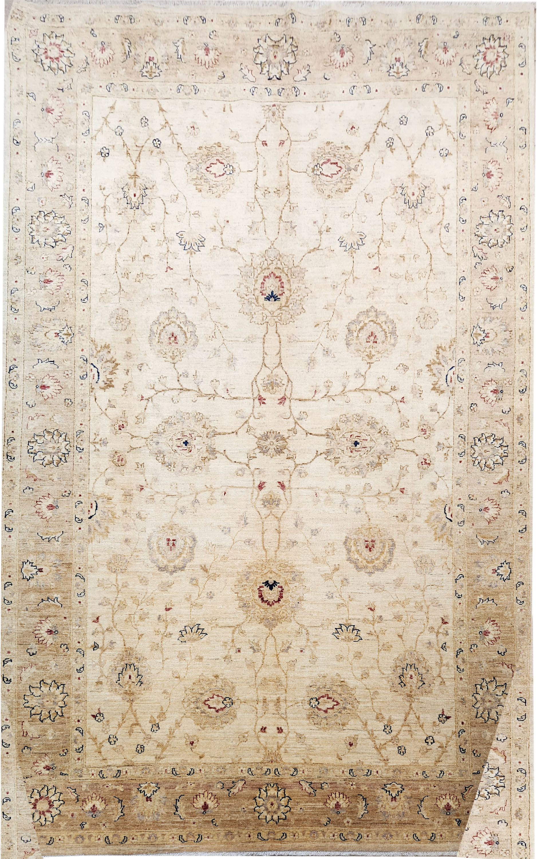 Chobi Veggie Dye Rug 327x200cm