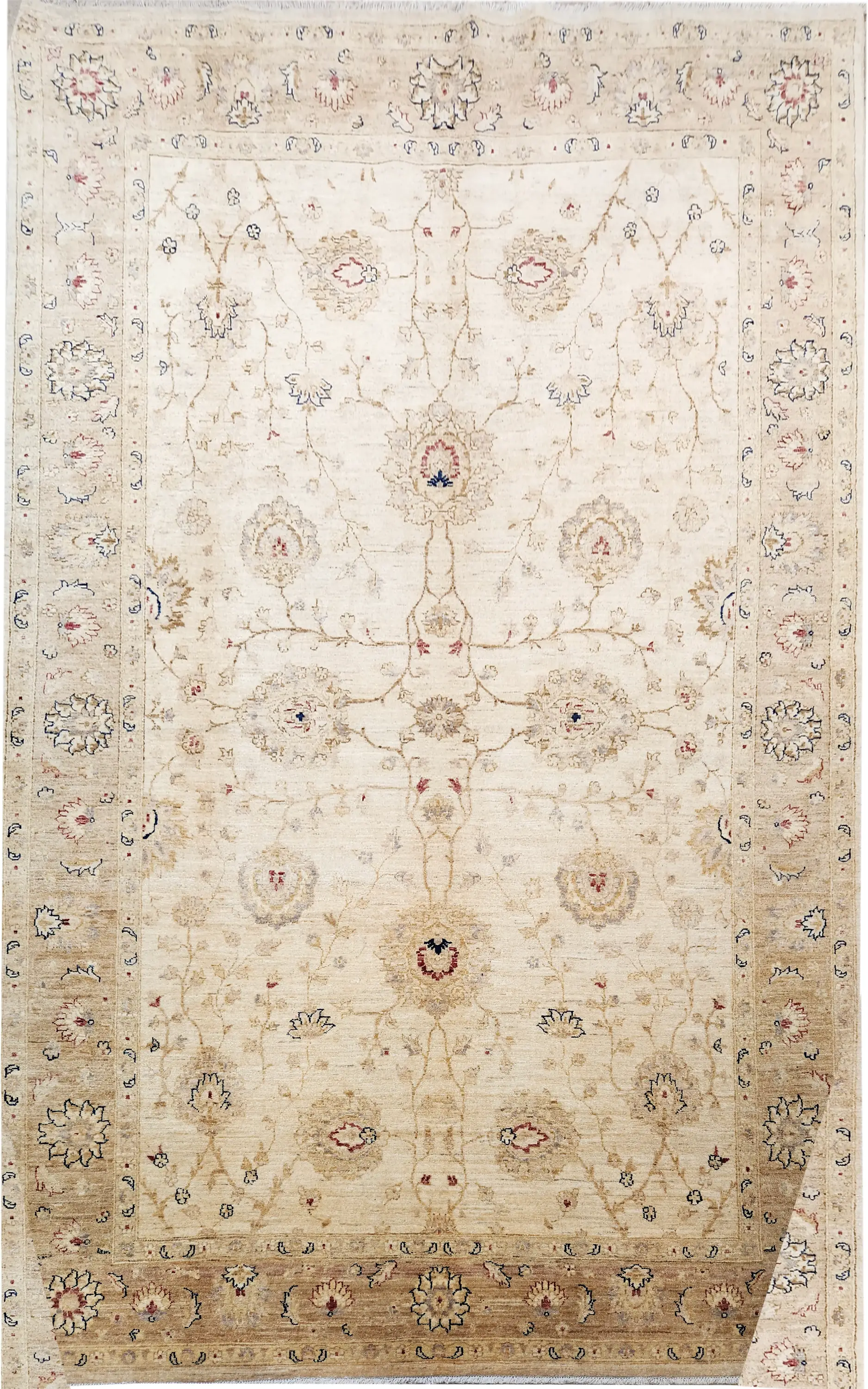 Chobi Veggie Dye Rug 327x200cm - image 4
