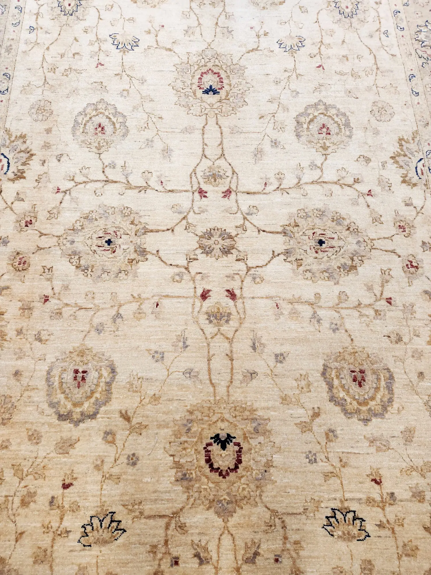 Chobi Veggie Dye Rug 327x200cm - image 2