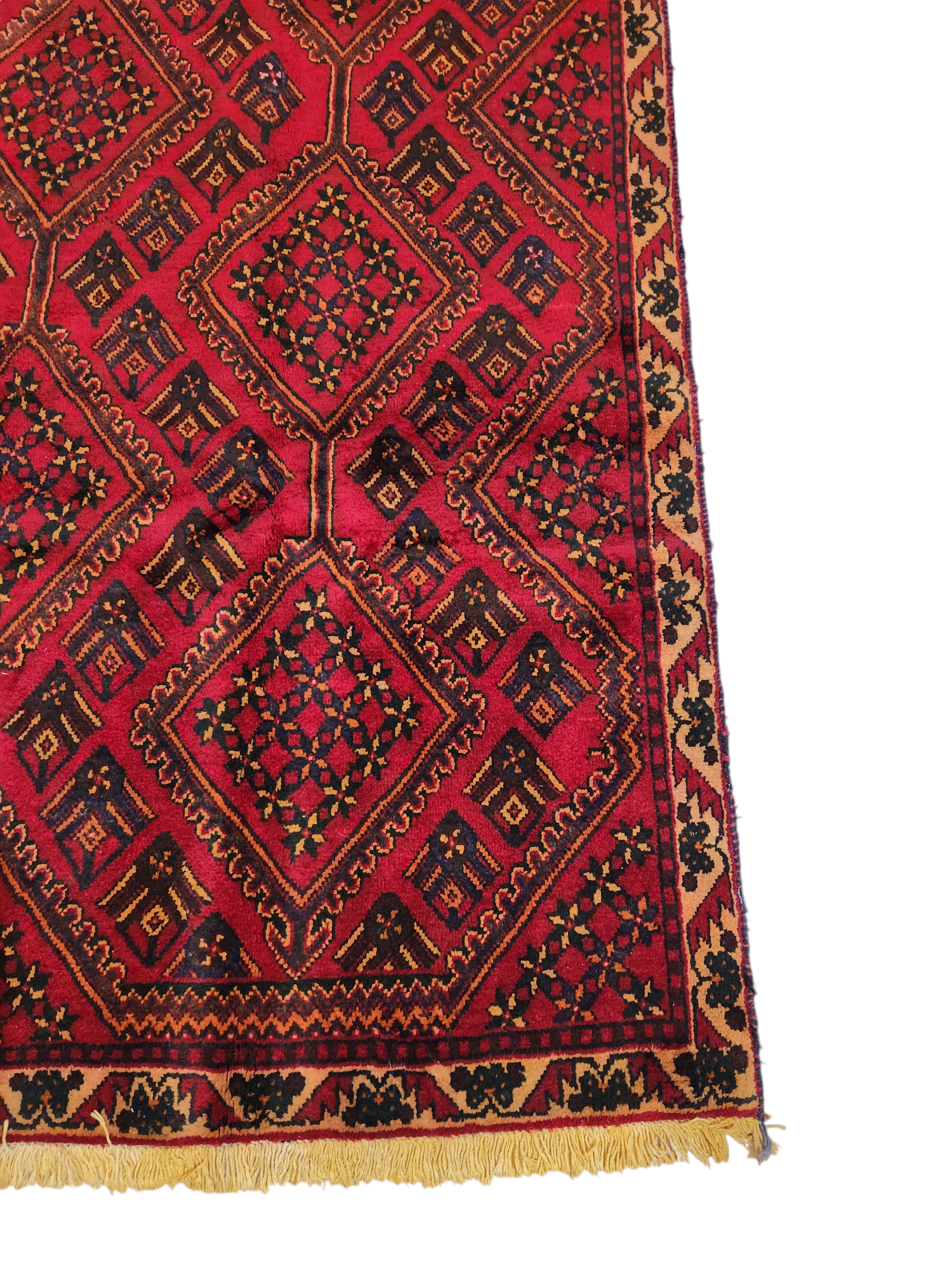 Shiraz Persian Rug 267×165 cm
