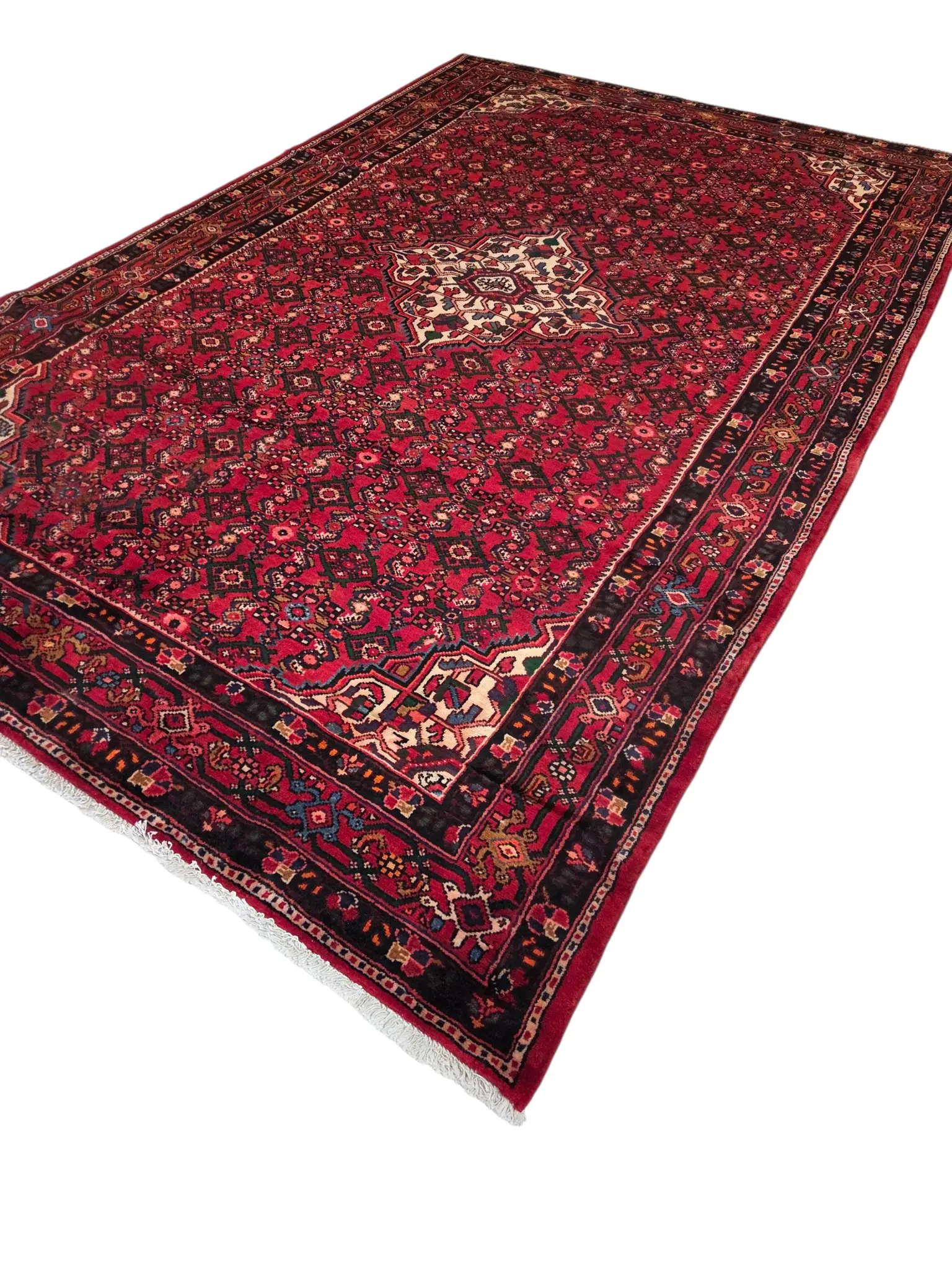 Hosseinabad Persian Handmade Pure Wool Rug 317x207 cm - image 4