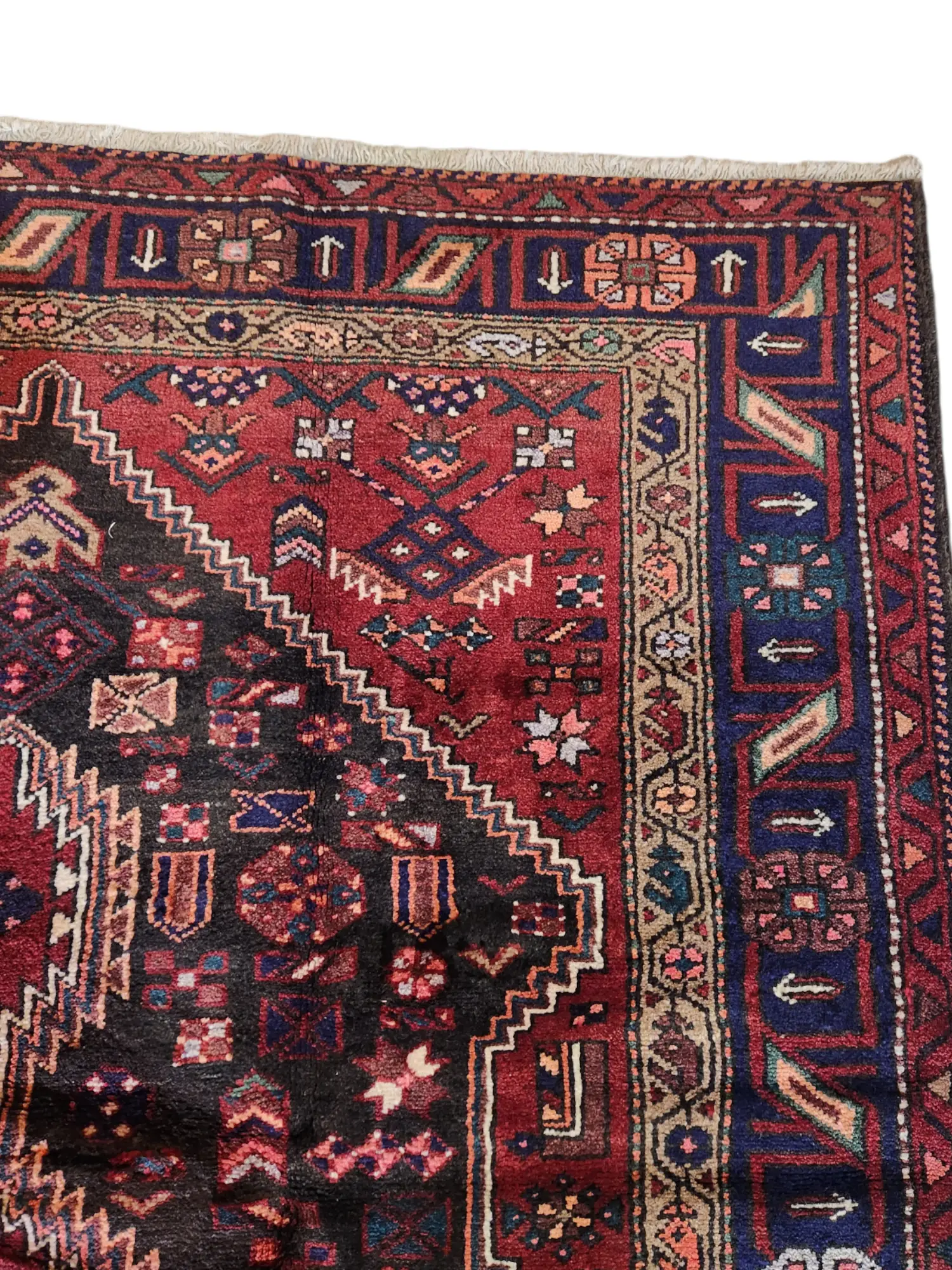 Zanjan Persian Rug 2.53 x 1.53m - image 5