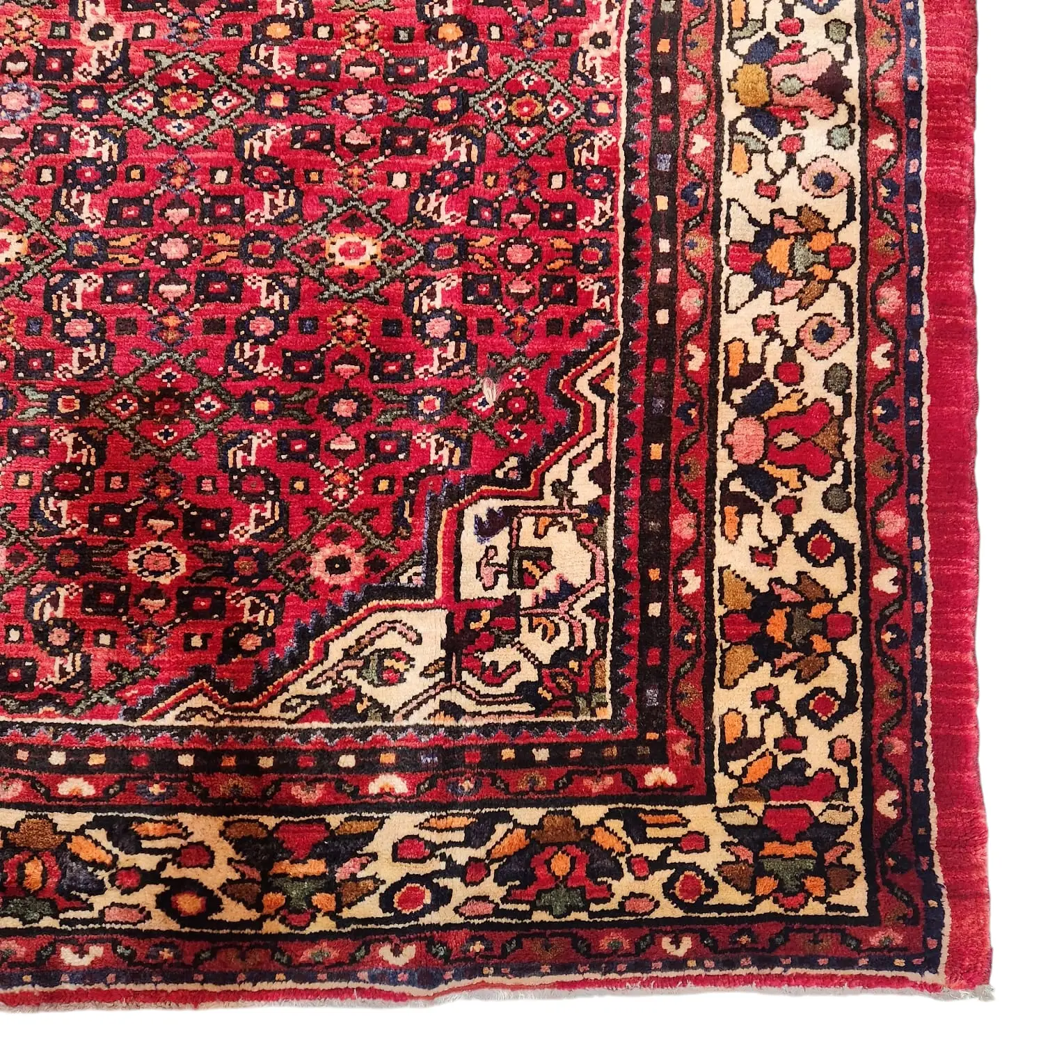 Enjelas Persian Rug 300x200 cm - image 3